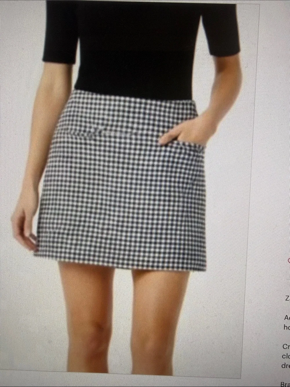 Zara mini skirt